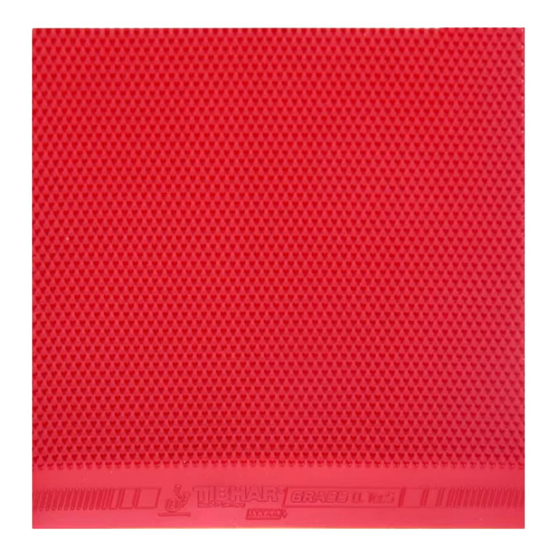 TIBHAR Grass D.TecS Table Tenn - Table Tennis Grip recensione e prezzo