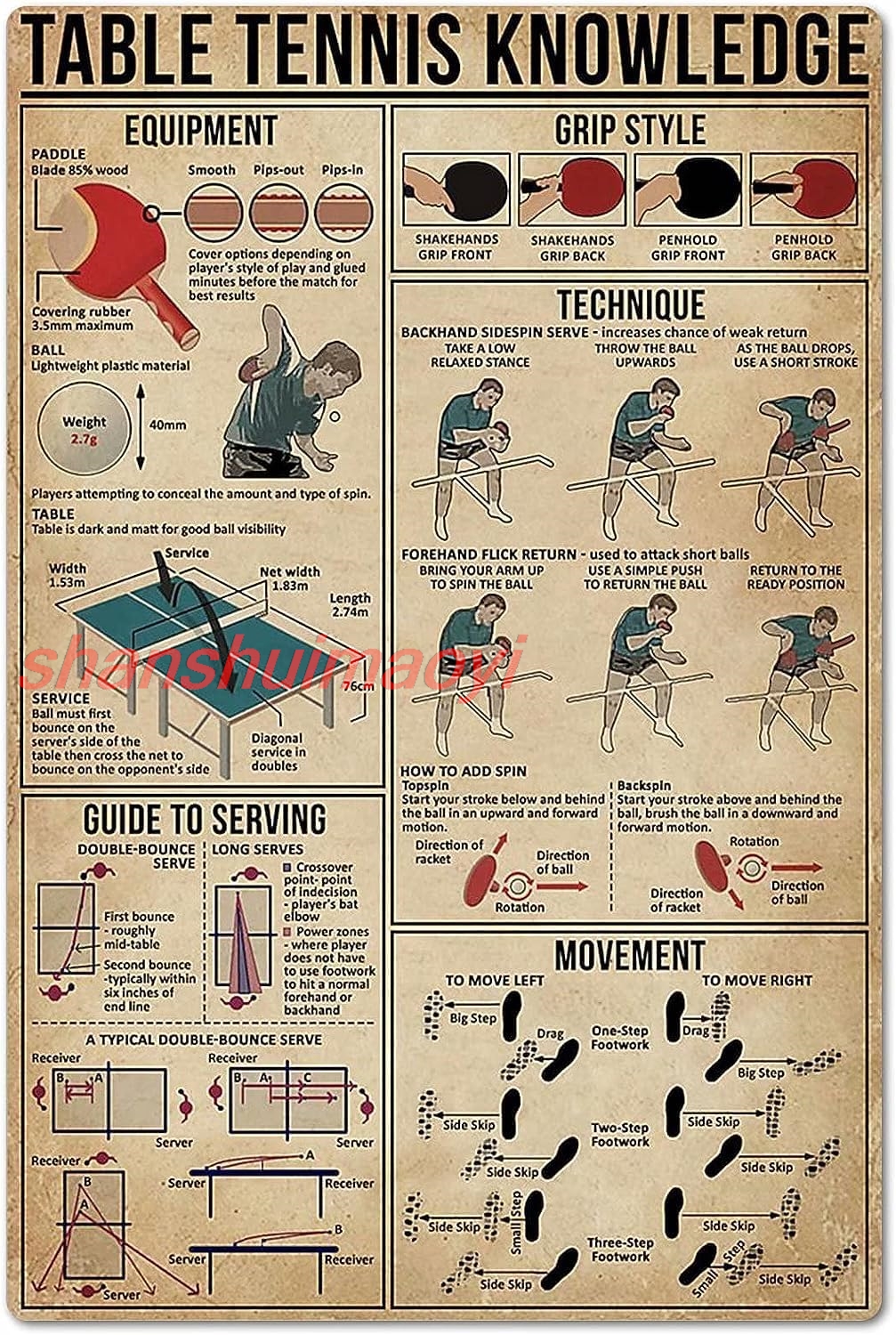 Table Tennis Knowledge Poster  - Table Tennis Knowledge Poster recensione e prezzo