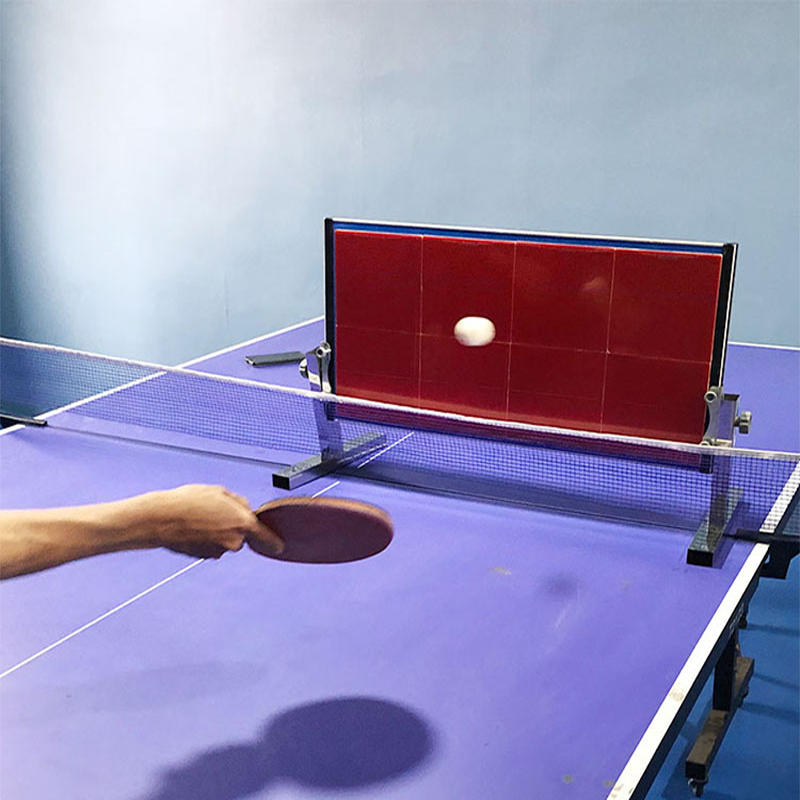Home Table Tennis Rebound Boar - Table Tennis Equipment recensione e prezzo